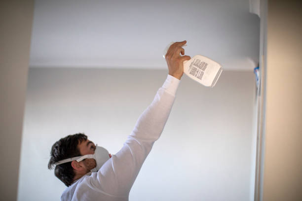 Best Professional Mold Removal  in St James, MN