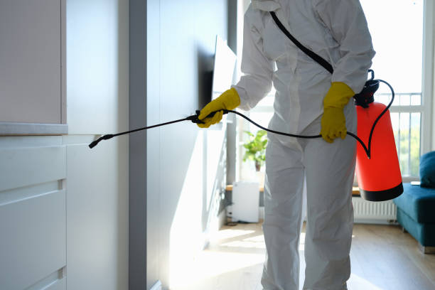Mold Testing and Removal in St James, MN