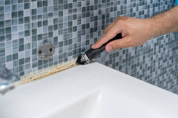 Best Mold Testing  in St James, MN