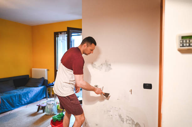 Best Water Damage Restoration  in St James, MN