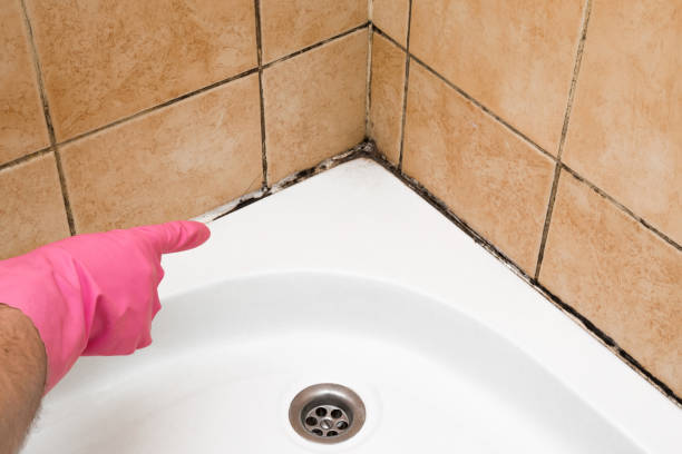 Best Residential Mold Removal  in St James, MN